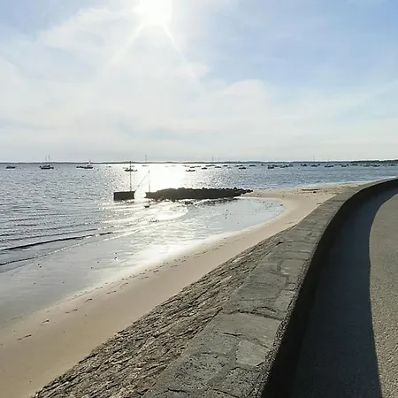 La Des Pins * אנדרנוס-לה-באינס